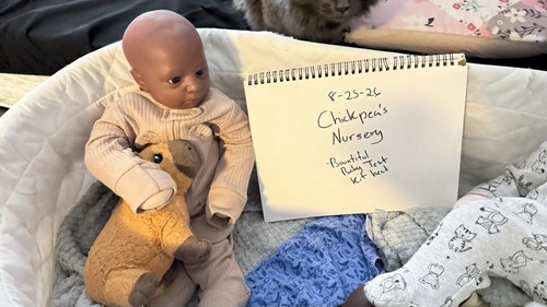 Preemie reborn baby - preemie,